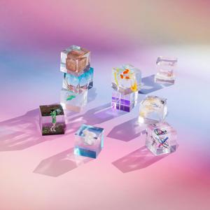 白上咲花无码一区二区
